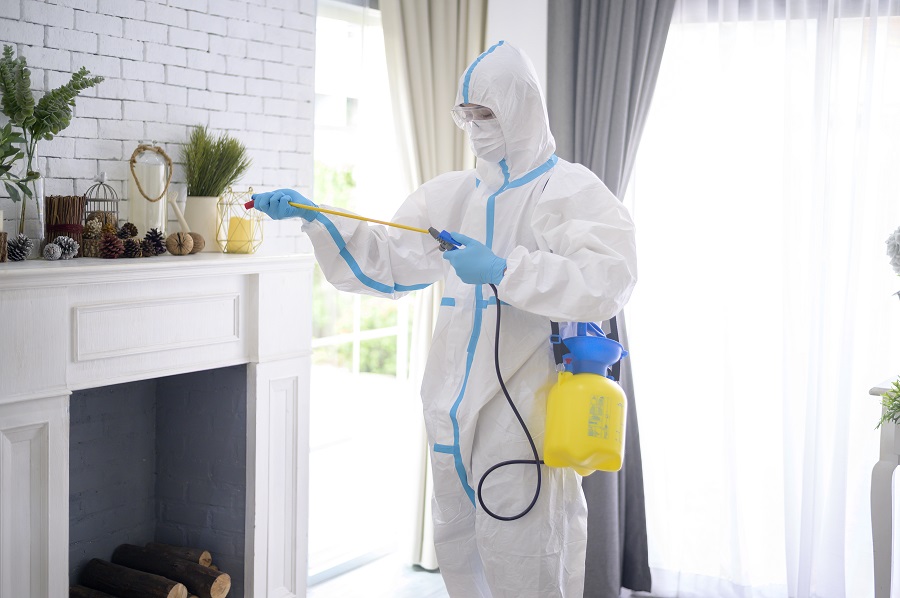 Honest Homeowner Opinions in Hawx Pest Control Reviews